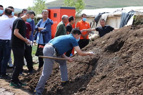 土地被畜禽糞便污染后能否繼續種植莊稼與垂釣的影響