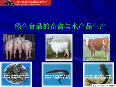 綠色食品的畜禽與水產品生產