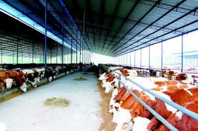 畜禽廢棄物再利用 宣漢開辟綠色發展之路