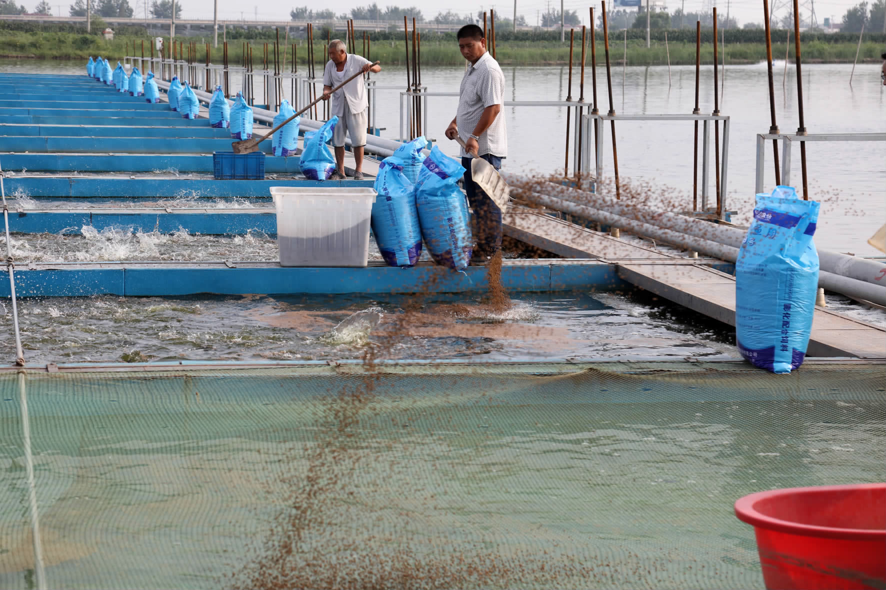 綠色引擎驅動產業升級——市農辦主任、農業農村局局長楊中校赴德清調研水產養殖業綠色發展